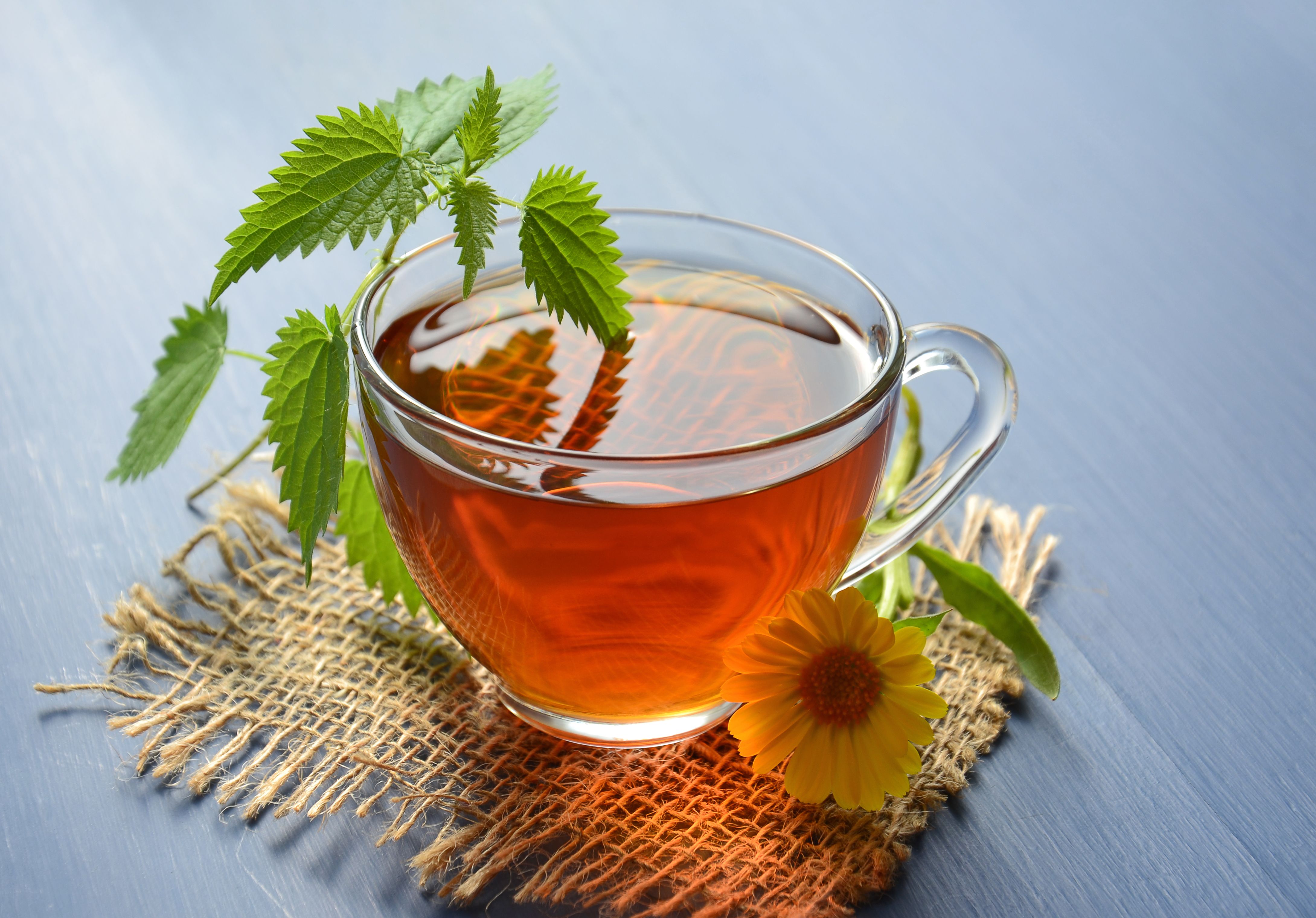 Hands holding a warm herbal tonic